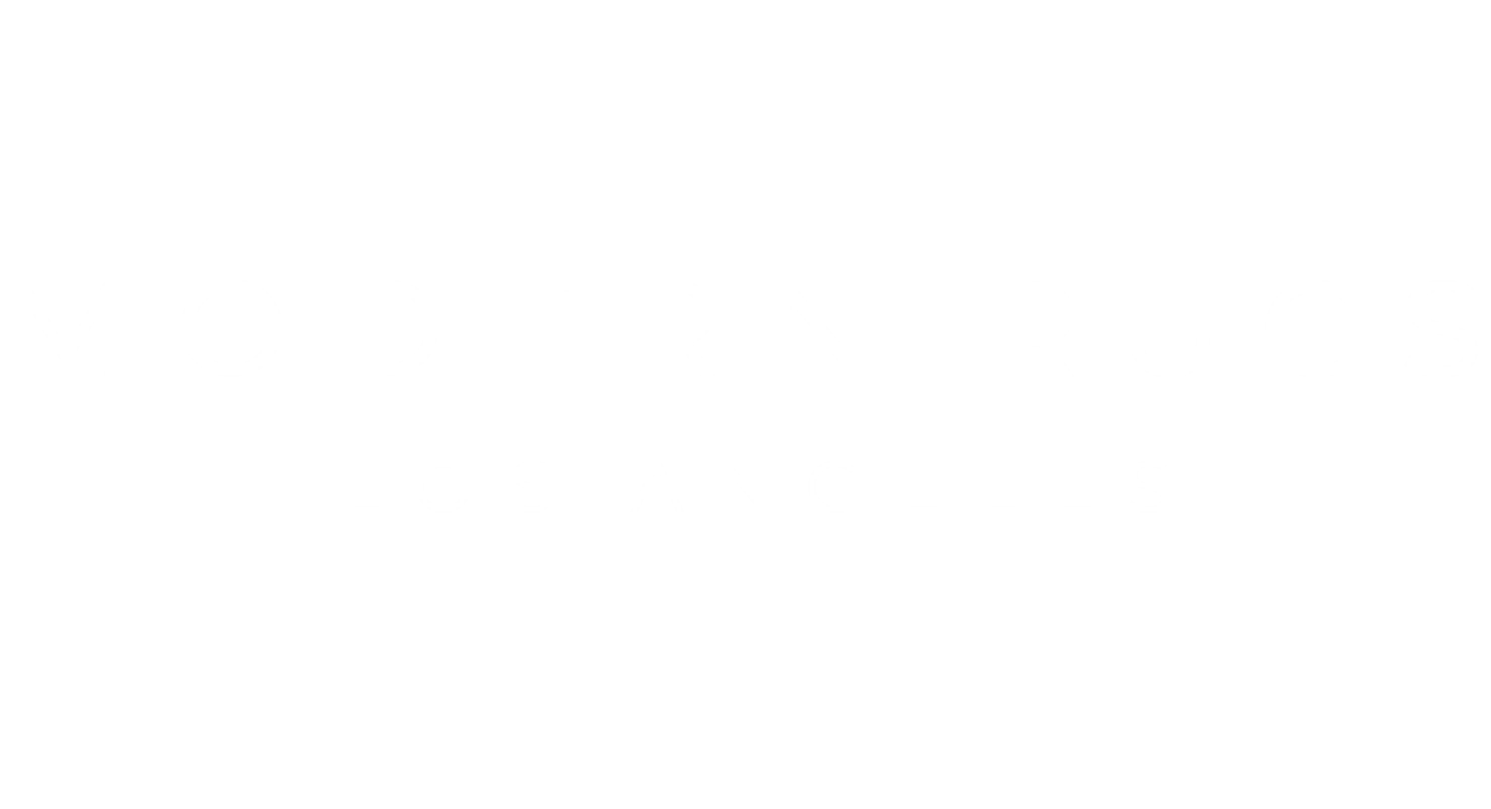Modern Rugs LA
